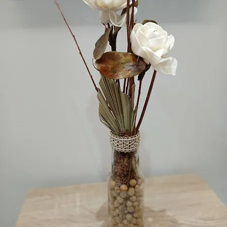 Night Day Duplex * Padrón