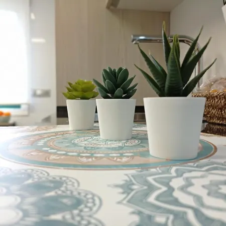 Night Day Duplex Padrón