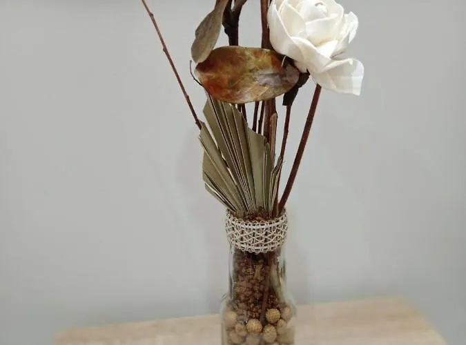 Night Day Duplex * Padrón