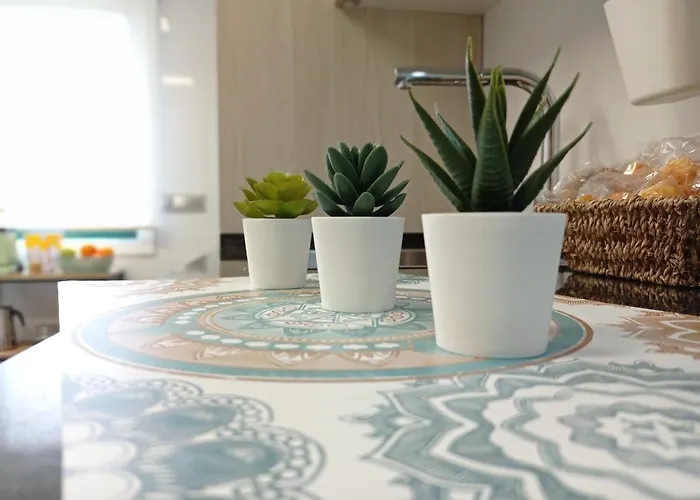 Night Day Duplex Padrón